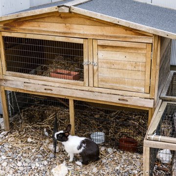 Web Easy Kid Care 162